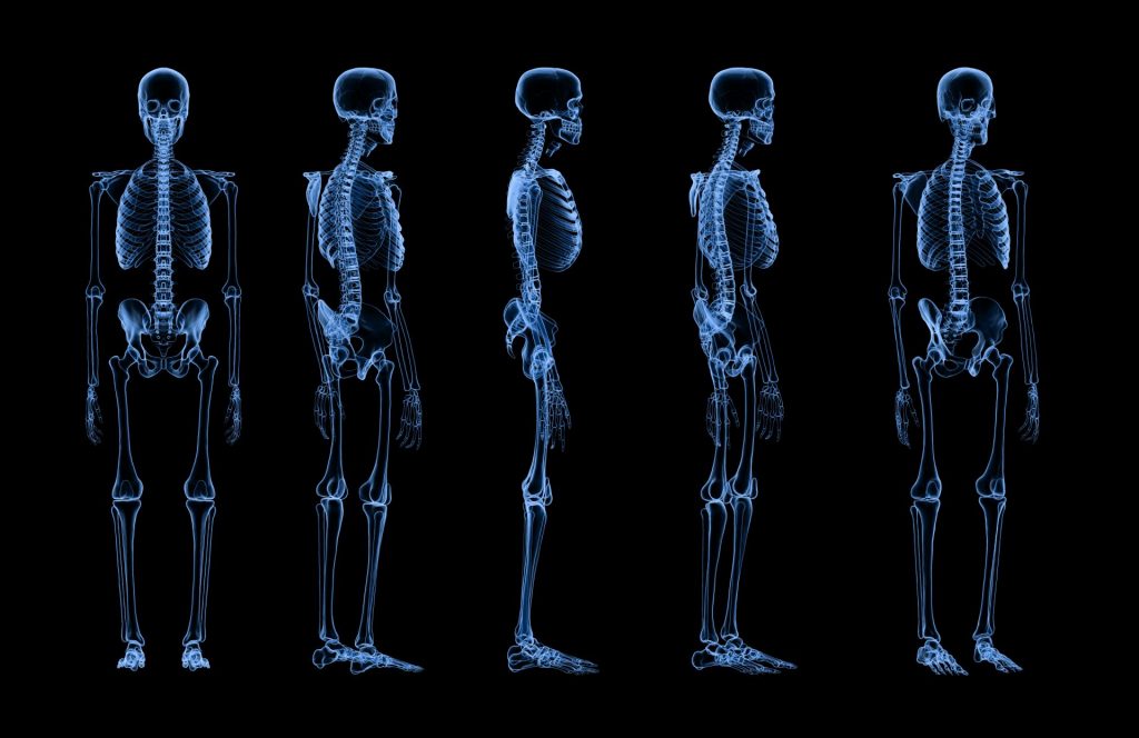 3d-rendering-set-of-human-skeleton-x-ray-isolated-on-black-background